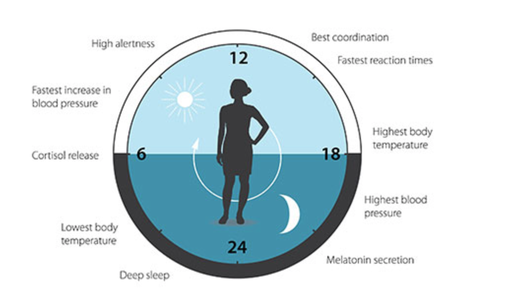 Screen Shot 2018-10-17 at 8.12.01 AM.png